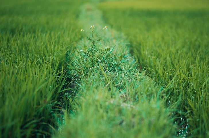 设置 SSH 通过密钥登录
