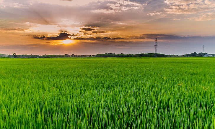 进步最好的方法，就是去接近那些正能量的人