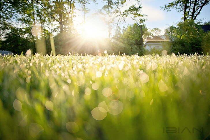 解决 WordPress 后台仪表盘慢问题[一]