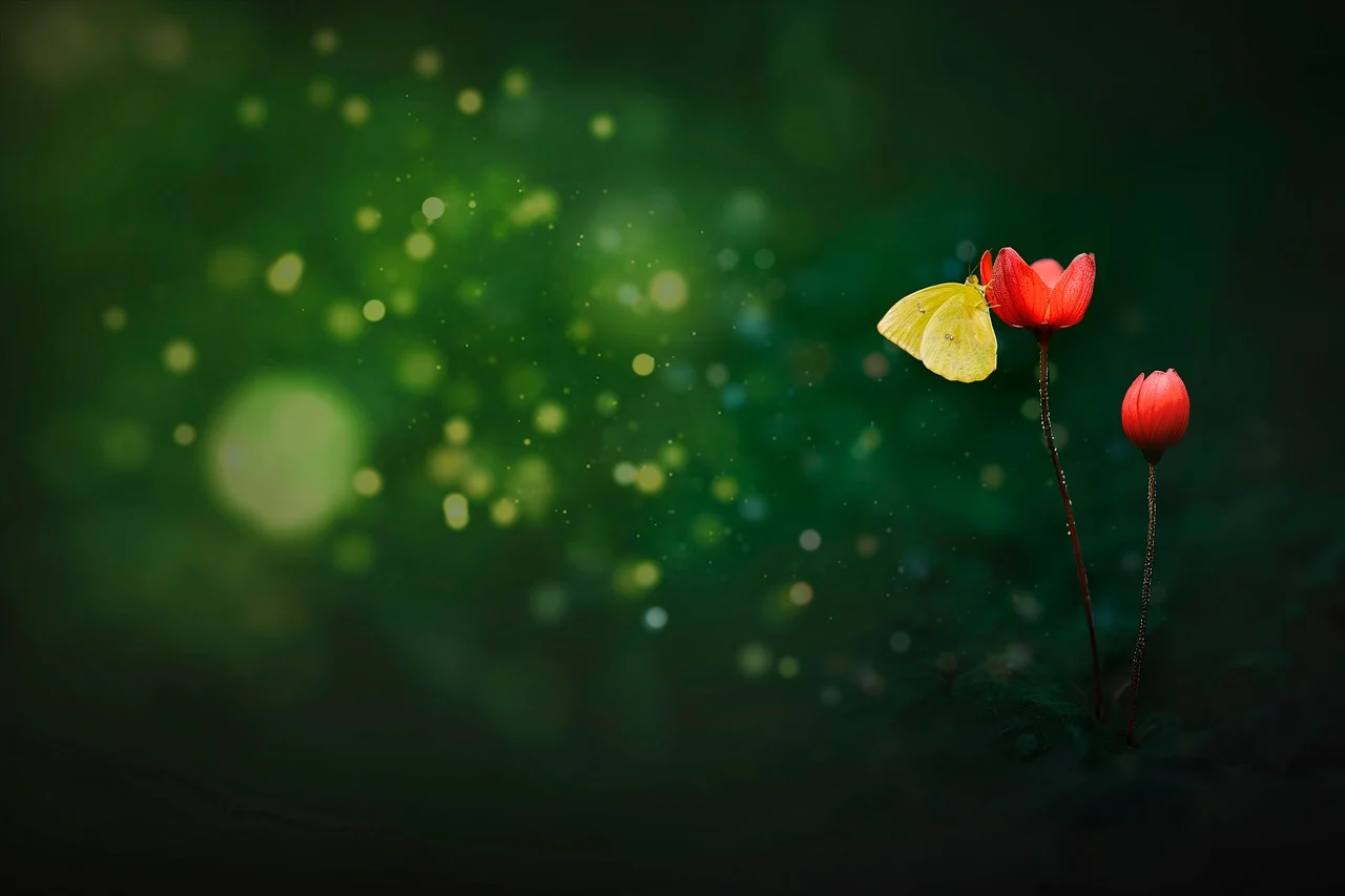 OpenLiteSpeed 安装