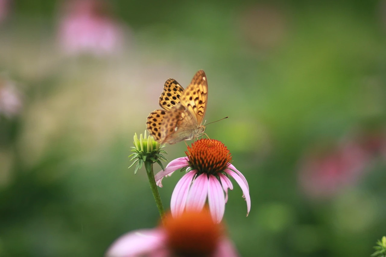好单位和坏单位的7大区别，你知道几条？