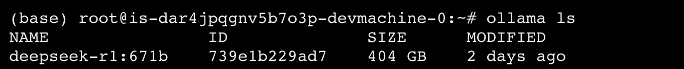 model list DeepSeek-R1-671B 大模型本地部署教程