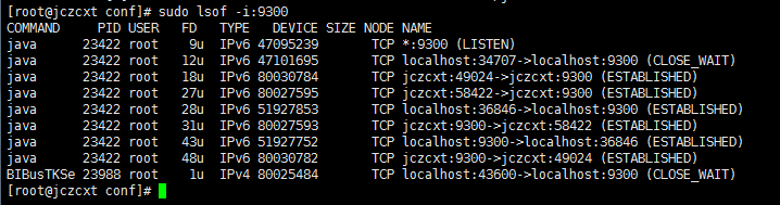 Linux下Tomcat端口、进程以及防火墙设置