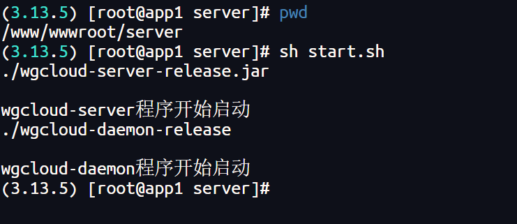 构建高效的主机监控系统